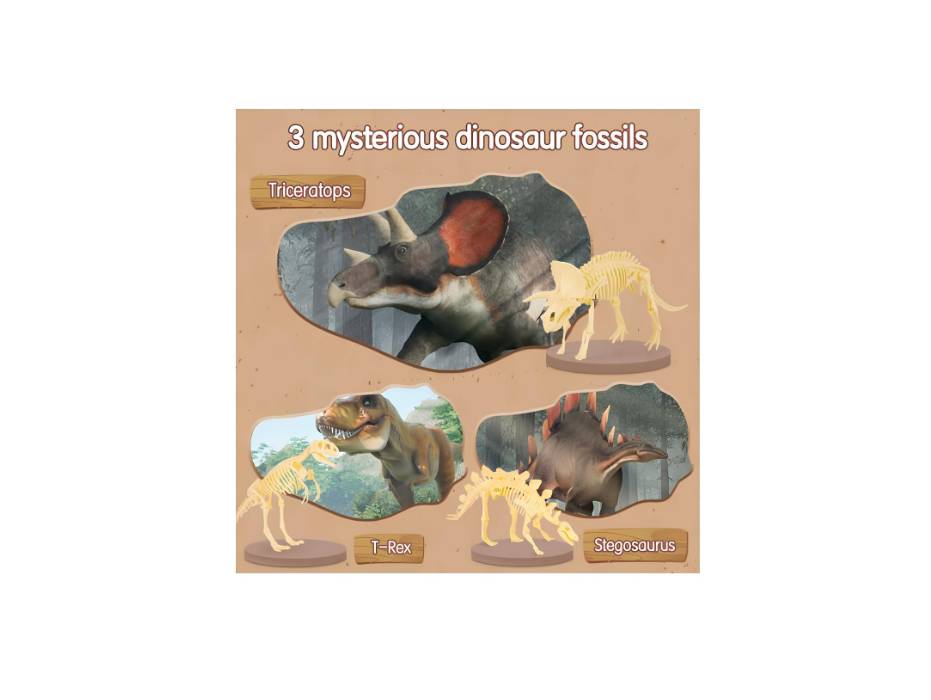 Deli EH769 Dig Kit Tyrannosaurus ASST. – Uncover, Build, and Discover the Dinosaur World!