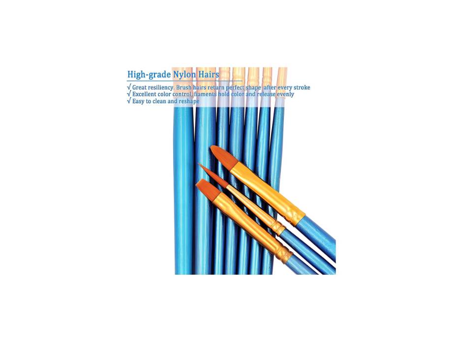 THE PRO BRO Paint Brush Set, 10 Pcs Paint Brushes Set