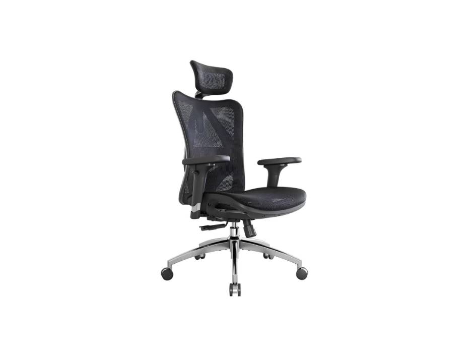 M57 Ergonomic Office Chair with 3 Way Armrests Lumbar Support and Adjustable Headrest High Back Tilt Function (Black)