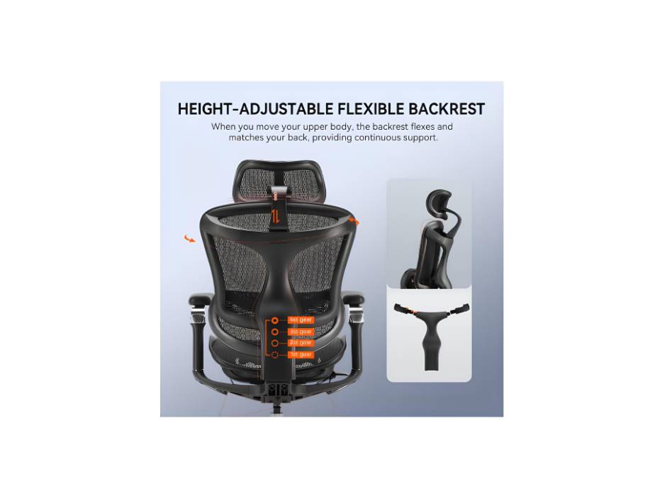 Doro C300 Pro Ergonomic Office Chair with Ultra Soft 6D Armrests, Dynamic Lumbar Support for Home Office Chair, Adjustable Backrest Desk Chair, Swivel Big and Tall Office Chair (Black)