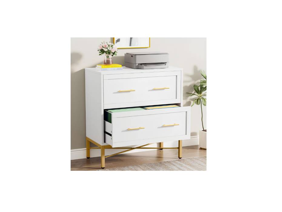 Tribesigns 2 Drawer File Cabinet, White Lateral Filing Cabinet for Letter/Legal/A4 Size, Wood Modern File Storage Cabinets Printer Stand with Storage for Home, Office, White and Gold