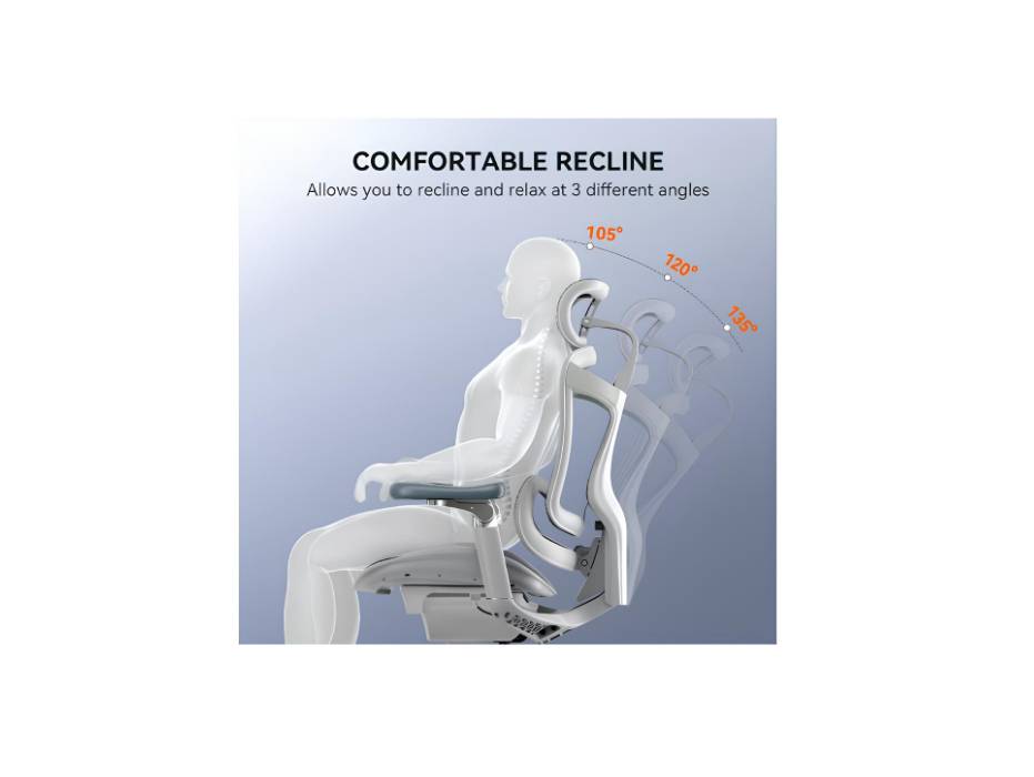 Doro C300 Pro Ergonomic Office Chair with Ultra Soft 6D Armrests, Dynamic Lumbar Support for Home Office Chair, Adjustable Backrest Desk Chair, Swivel Big and Tall Office Chair, Grey