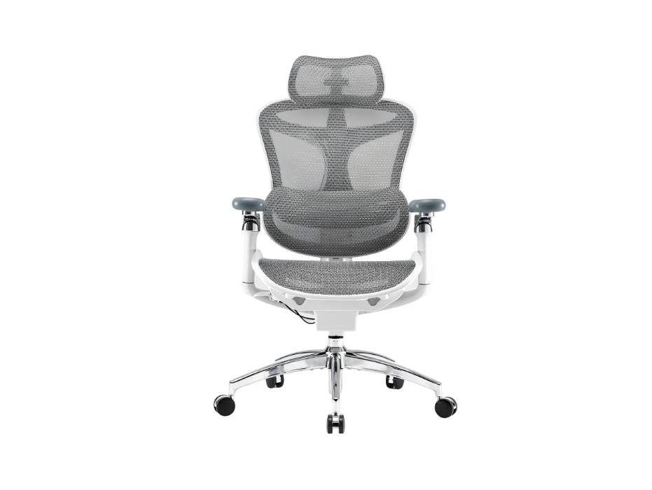 Doro C300 Pro Ergonomic Office Chair with Ultra Soft 6D Armrests, Dynamic Lumbar Support for Home Office Chair, Adjustable Backrest Desk Chair, Swivel Big and Tall Office Chair, Grey