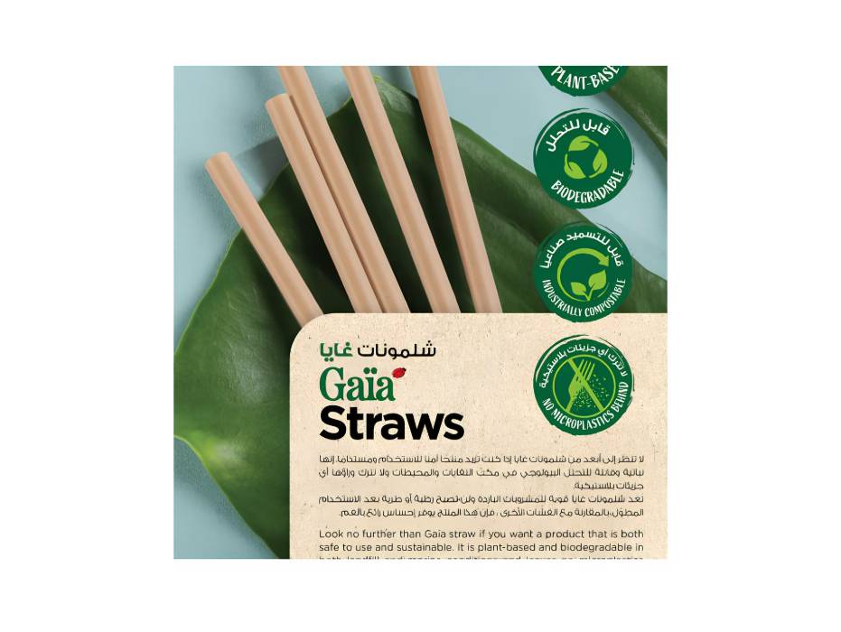 Fun Gaïa Straight Natural Brown Straws 8x197mm, Pack of 30