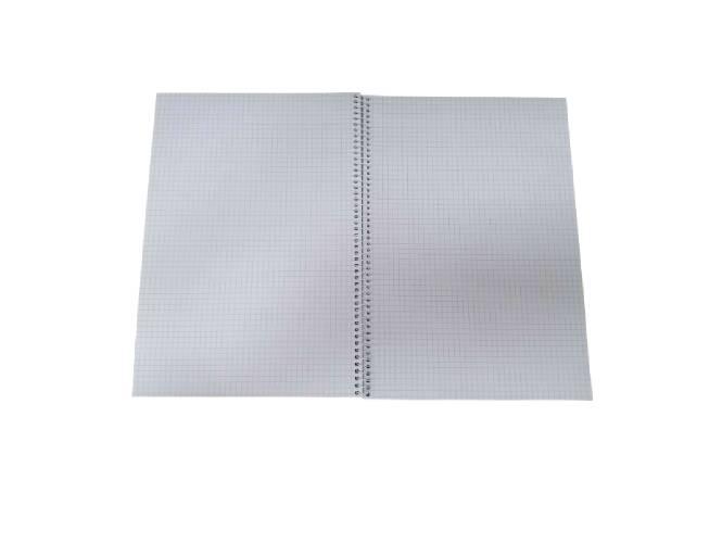 A4 Spiral Notebook 5mm Square Ruled (FSNBA4JF114) - Altimus