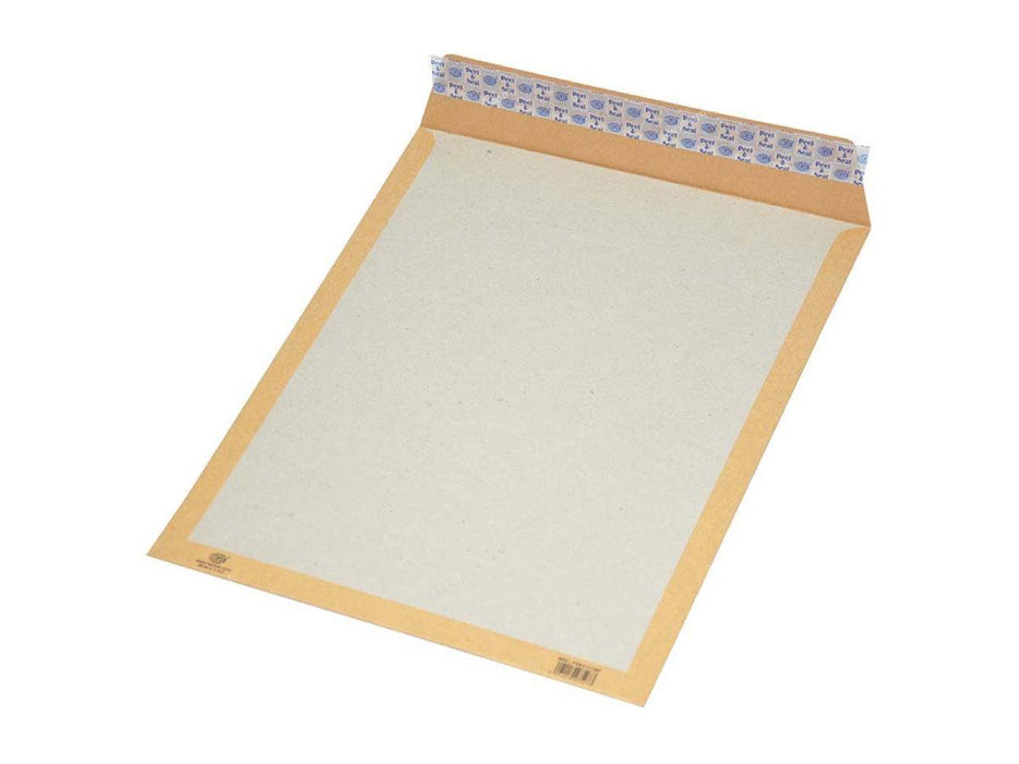 Brown Envelope with Base Board 12 X 10” (50pcs/pack) - FSEV111MP - Altimus