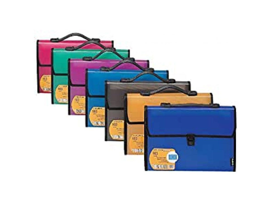 Foldermate Expanding File with Handle 13 Pockets, A4 size (10pcs/box) - Altimus