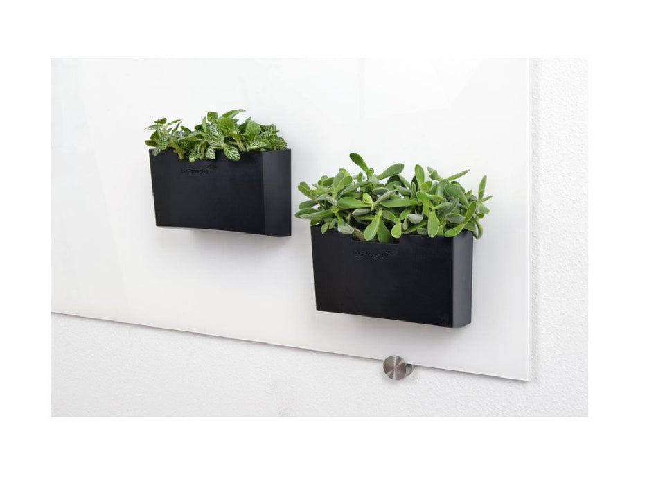 Legamaster Glassboard accessory holder black Part No. 7-122700 - Altimus