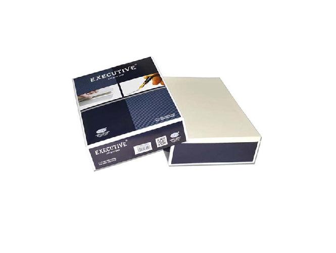 Executive Laid Bond Paper, 500 Sheets, 100 gsm, A4 Size, Off-White (FSPALD100CWH) - Altimus