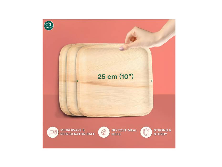 ECO SOUL [10 inch, 25-Pack] Areca Palm Leaf Square Plates Disposable Eco-Friendly Biodegradable Like Bamboo Wood Plates, Square