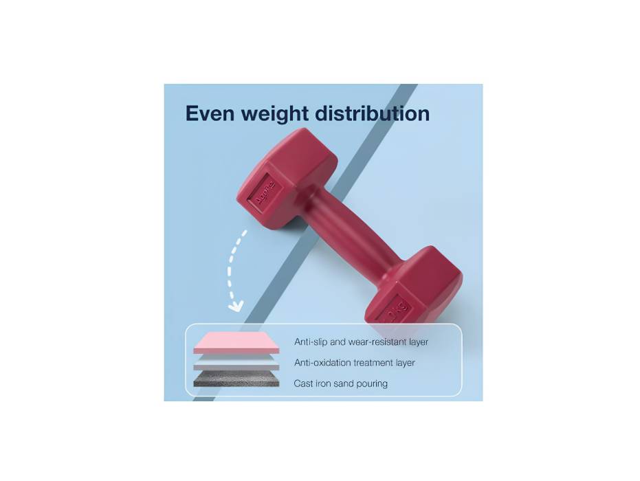 Agnite ER081-PR 1kg Purple Dipped Dumbbell – Perfect for Home Workouts & Strength Training