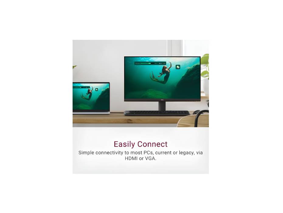 Dell 24 Monitor - SE2425HM, Full HD (1920x1080), 100Hz, IPS, 5ms, VESA (100x100mm), HDMI, VGA, Black