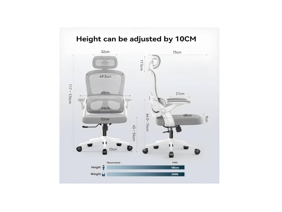 M102C Gaming Ergonomic Office Chair, Computer High Back Chair with Dual Back Design - Individual Lumbar Pillow, 3D Armrests, Adjustable Headrest and Comfortable Thick Cushion (White)