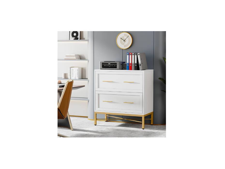 Tribesigns 2 Drawer File Cabinet, White Lateral Filing Cabinet for Letter/Legal/A4 Size, Wood Modern File Storage Cabinets Printer Stand with Storage for Home, Office, White and Gold