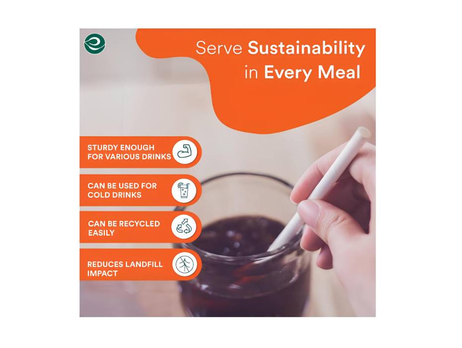 ECO SOUL 6 mm, 100 Count] Biodegradable Paper Straws Eco-Friendly Compostable Sustainable Disposable Drinking Straws