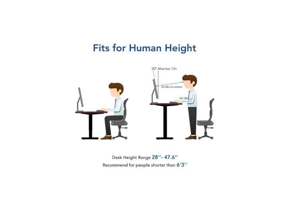 FLEXISPOT 55 x 28 Inches Electric Stand Up Desk Workstation, Whole-Piece Desk Board Home Office Computer Standing Table Height Adjustable Desk, EC1 Classic Black