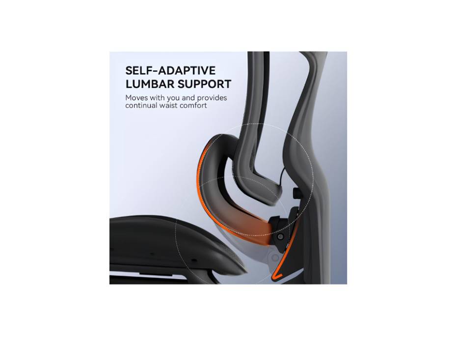 Doro C300 Pro Ergonomic Office Chair with Ultra Soft 6D Armrests, Dynamic Lumbar Support for Home Office Chair, Adjustable Backrest Desk Chair, Swivel Big and Tall Office Chair (Black)