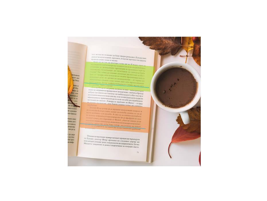 TERRIFI Dyslexia Overlays and Guided Reading Strips, Colored Visual Aids - 8pcs