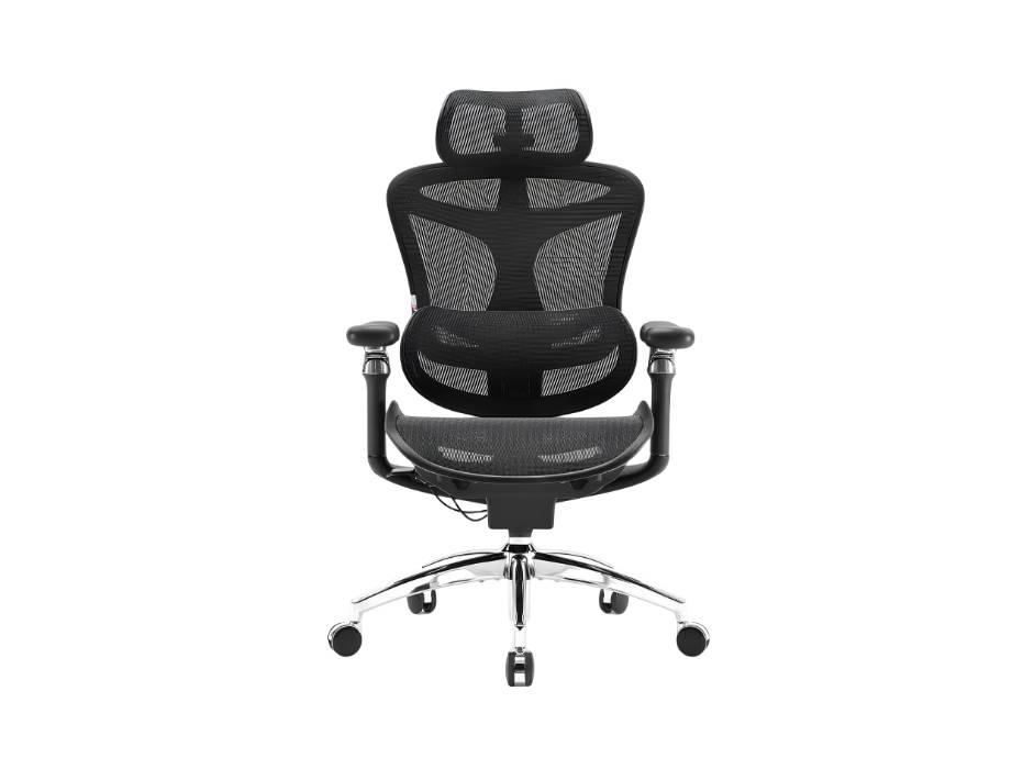Doro C300 Pro Ergonomic Office Chair with Ultra Soft 6D Armrests, Dynamic Lumbar Support for Home Office Chair, Adjustable Backrest Desk Chair, Swivel Big and Tall Office Chair (Black)