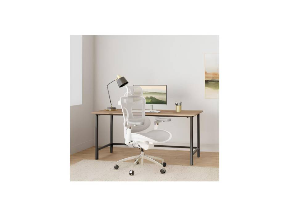 Doro C300 Pro Ergonomic Office Chair with Ultra Soft 6D Armrests, Dynamic Lumbar Support for Home Office Chair, Adjustable Backrest Desk Chair, Swivel Big and Tall Office Chair, Grey