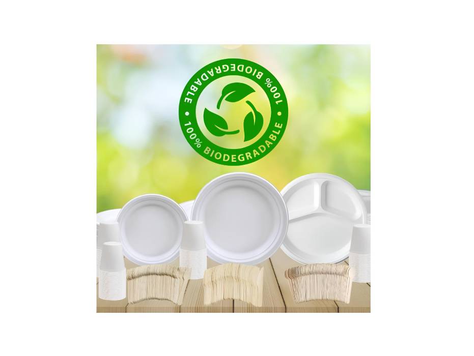 Disposable Wooden Knife, 100pcs/pack