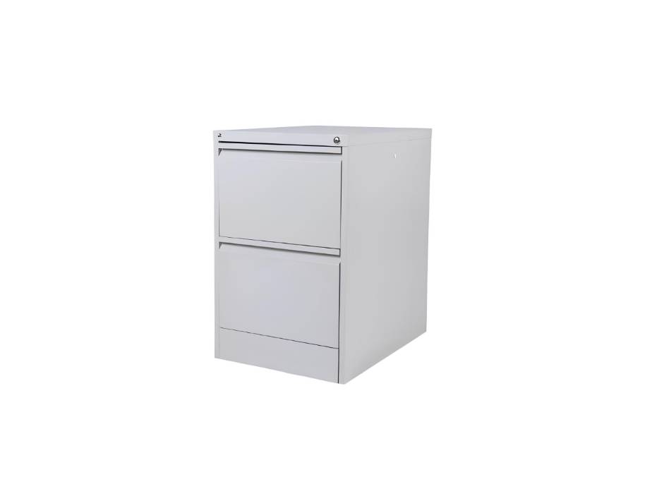 RIGID Steel Vertical Filing Cabinet Large Storage steel Cabinet, Metal Portable Cabinet with 2 Drawers for A4/Letter, Grey