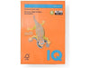 IQ Colored Copy Paper A4 160gsm Orange 250Sheets/Ream - Altimus
