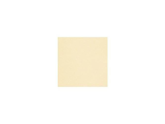 Conqueror Paper Wove, Vellum Colour, A4 100gsm, 500sheets/ream - Altimus