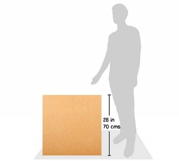 Corrugated Boxes (45 x 45 x 70cm) - Altimus